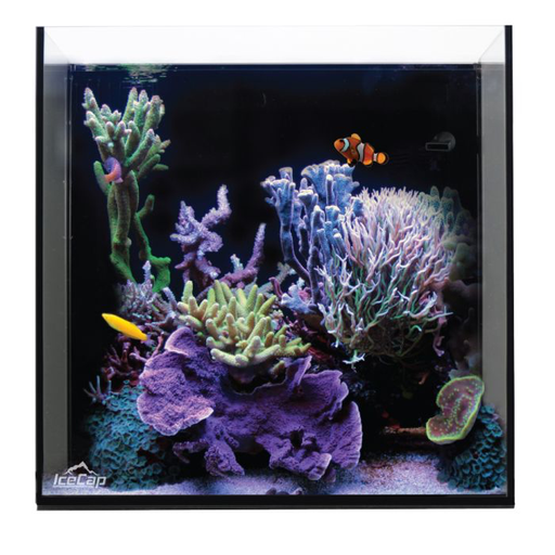 [EQ-IC-AIO20C] IceCap - 20 Gallon Cube AIO Rimless Glass Aquarium