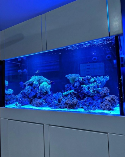 Glasscages - 120G Glass Aquarium with Euro-Bracing and Black Trim (48 x 24 x 25 Tall)