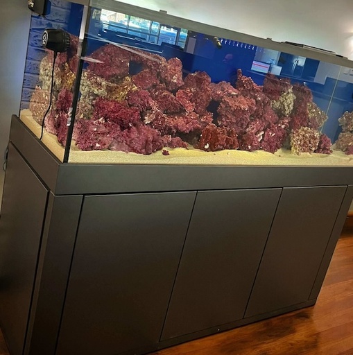Glasscages - 180G Glass Aquarium with Euro-Bracing and Black Trim (72 x 24 x 25 Tall)